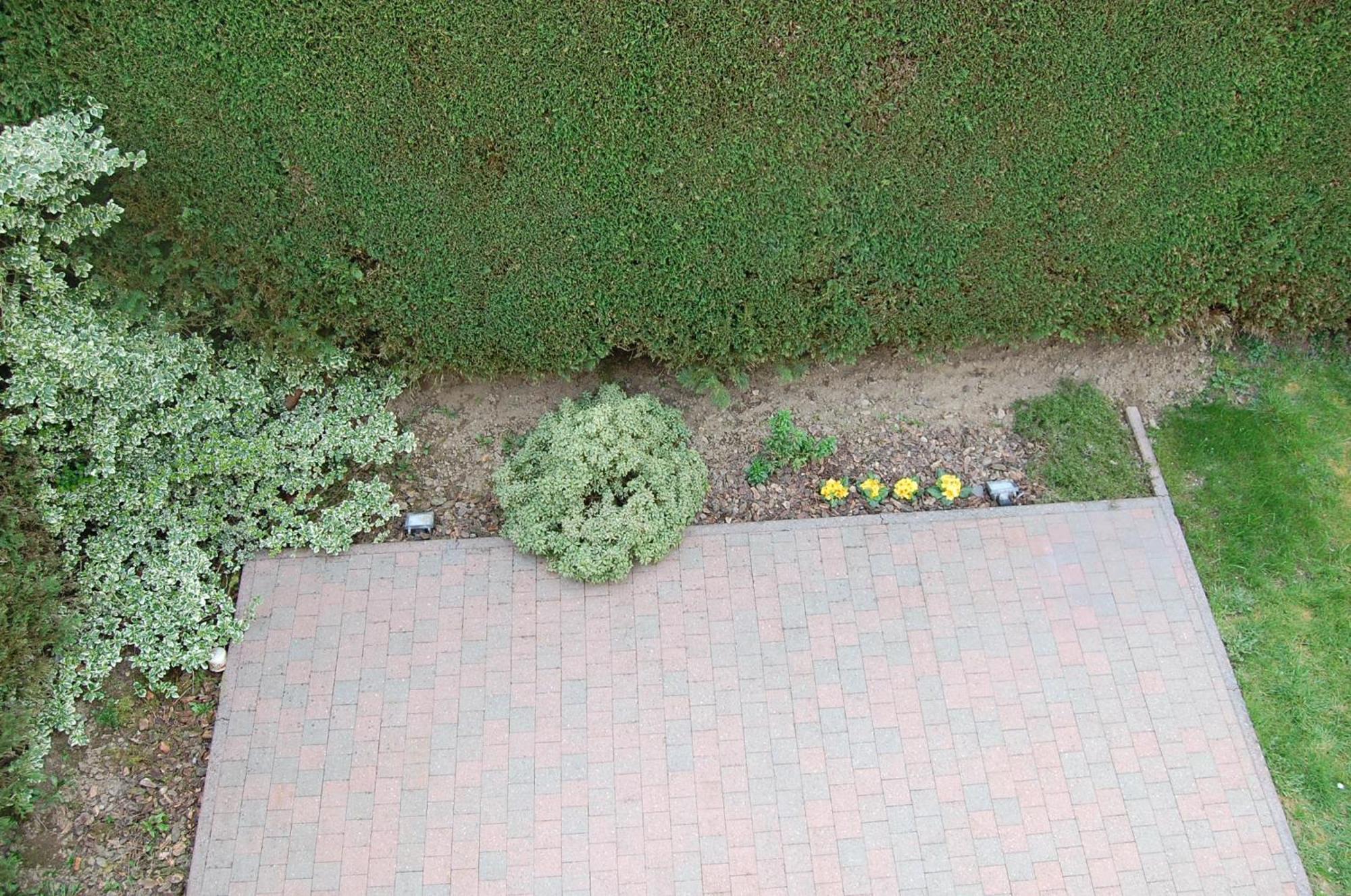 B&B Des Bois Sans Nombre Paliseul Kültér fotó